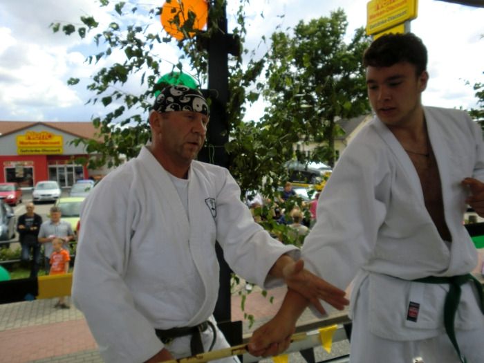 festumzug 2013