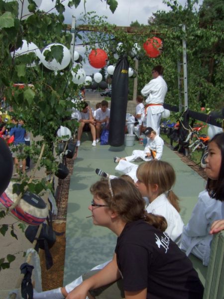 festumzug 2011