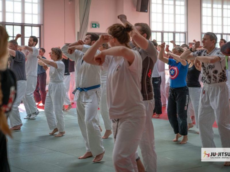 akademie 2019