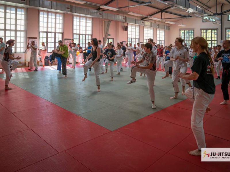 akademie 2019