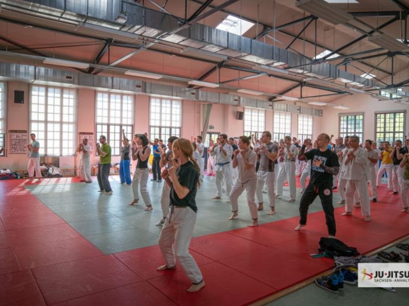 akademie 2019