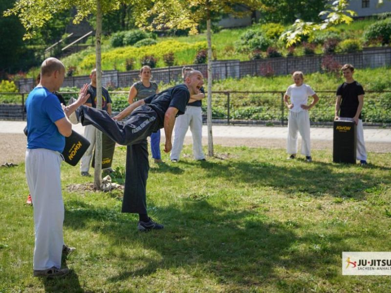 akademie 2019