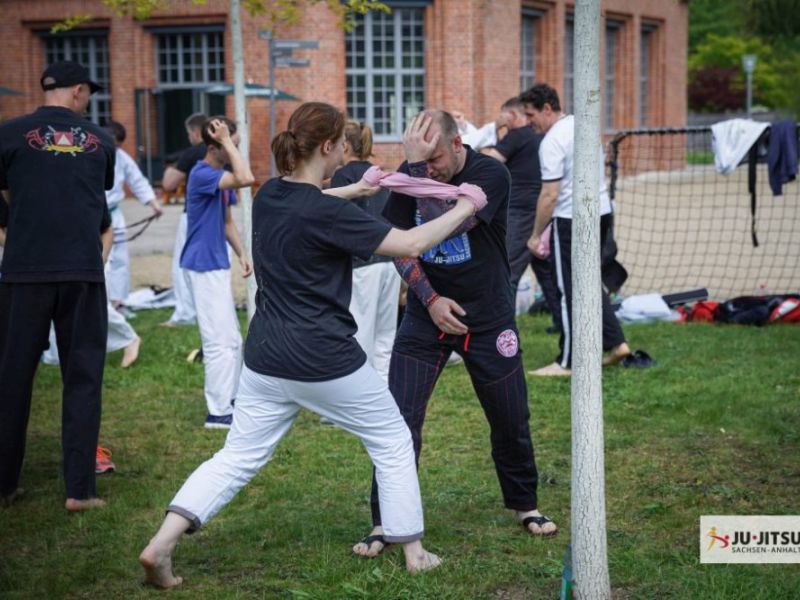 akademie 2019