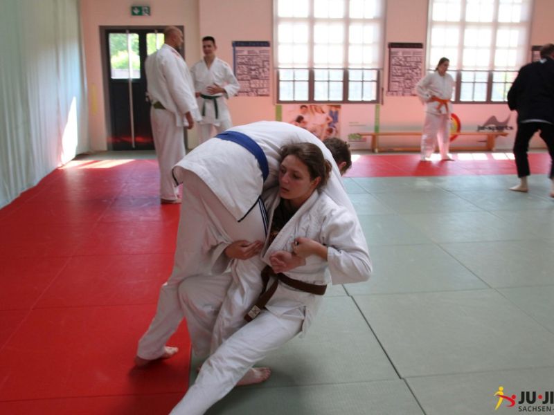akademie 2017