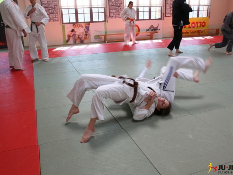 akademie 2017