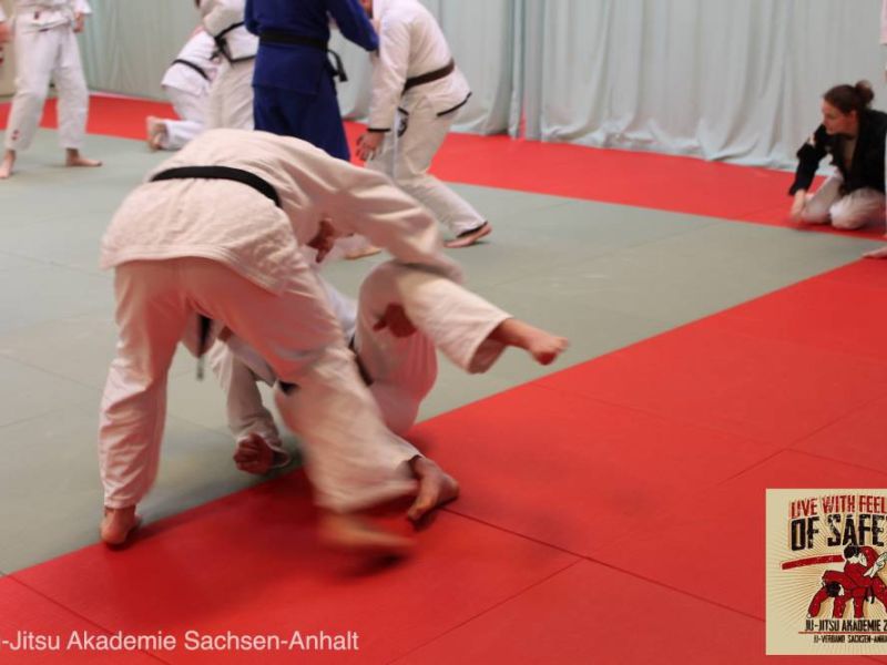 akademie 2015