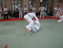 akademie 2014