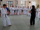akademie 2013