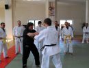 akademie 2013