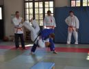 akademie 2011