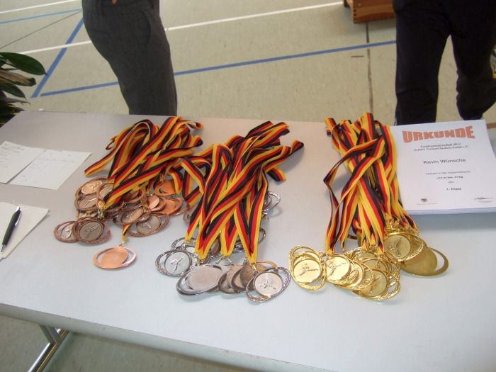 lmfighting 2011