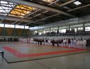 lmfighting 2011