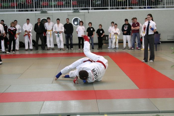 lmfighting 2011