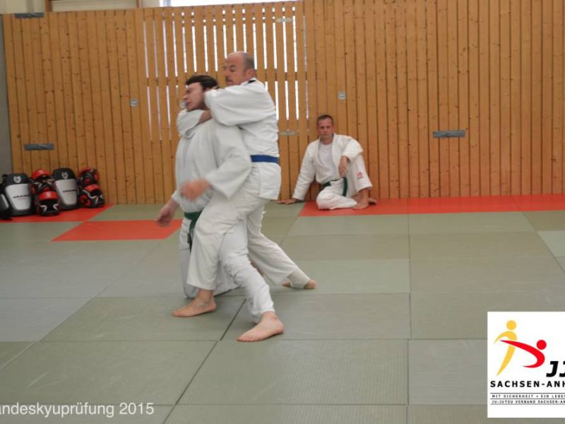 landespruefung 2015