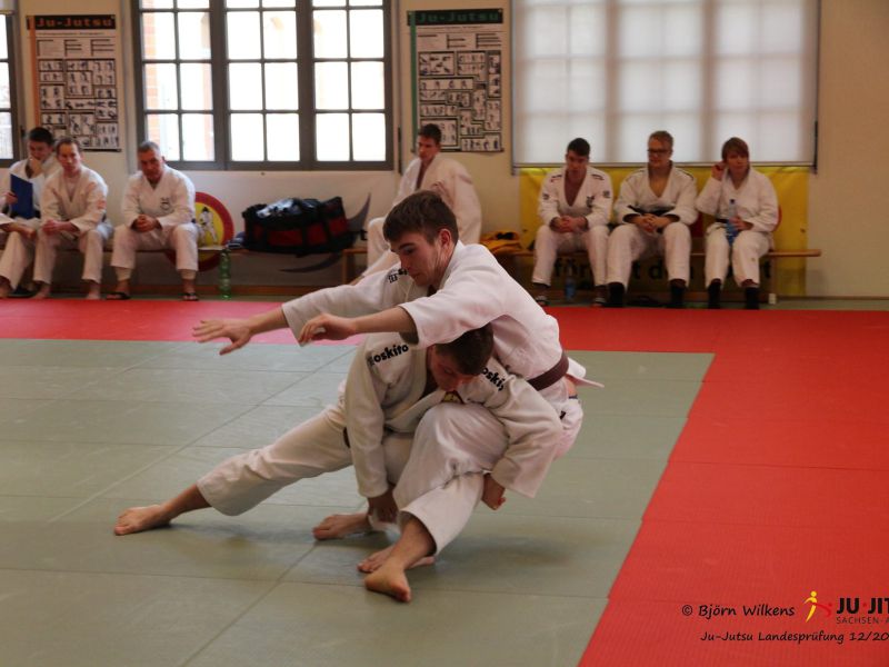 danpruefung 2015
