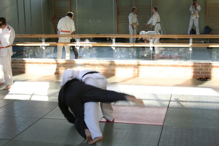 training 2006