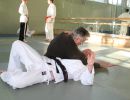 training 2006
